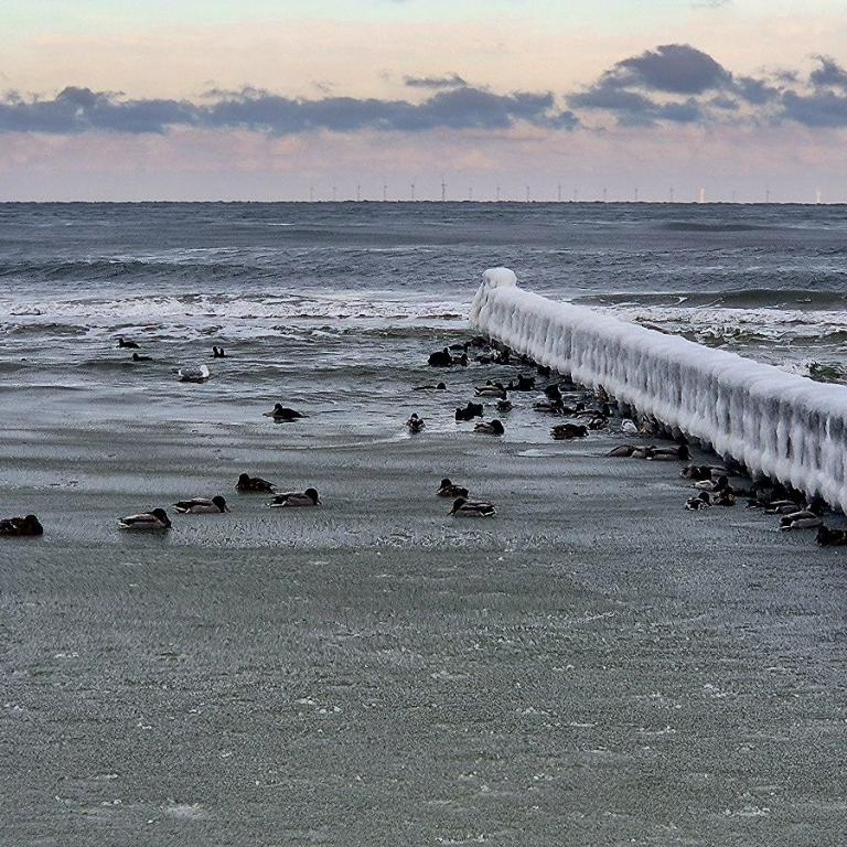 05_Winterspaziergang