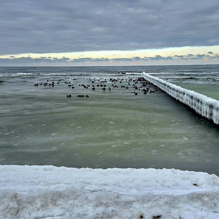 06_Winterspaziergang