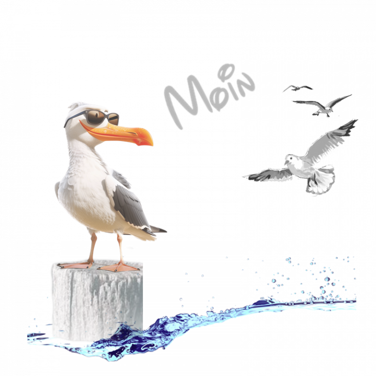 02_Möwen PNG_links